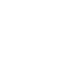 World Icon